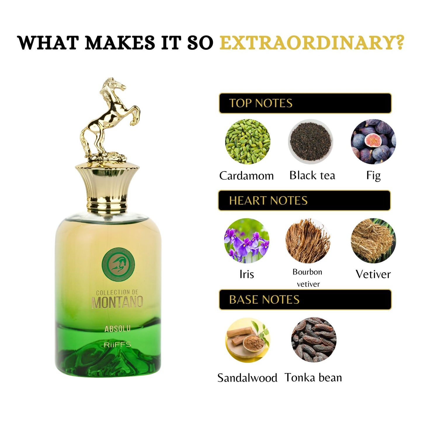 Collection De Montano Absolu Eau De Parfum 100ml by Riiffs